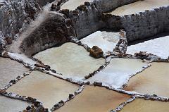 427-Maras,saline,10 luglio 2013